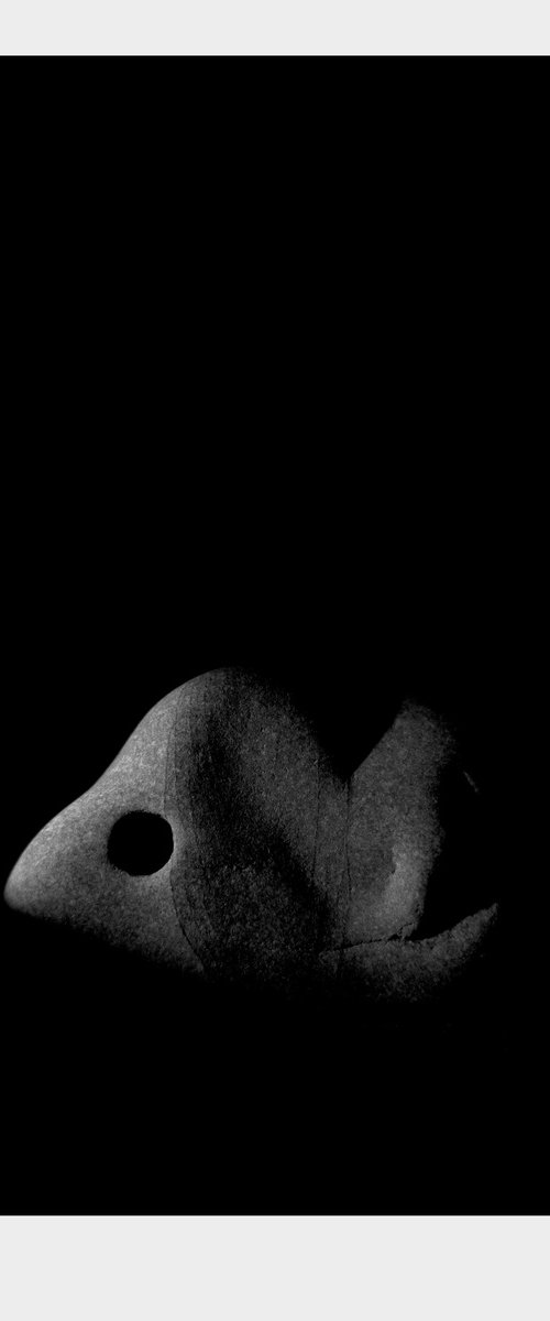 Untitled II by Caio Caruso