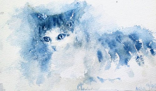 My cute blue cat by Asha Shenoy