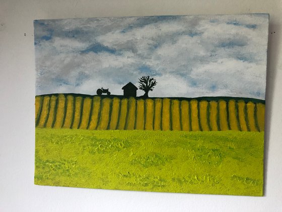 Sold-Farm Fields