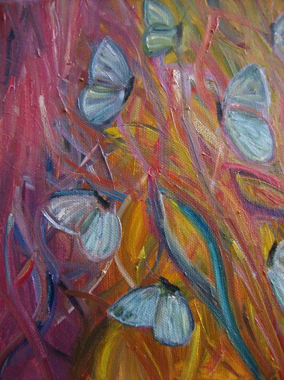 Dance of the butterflies