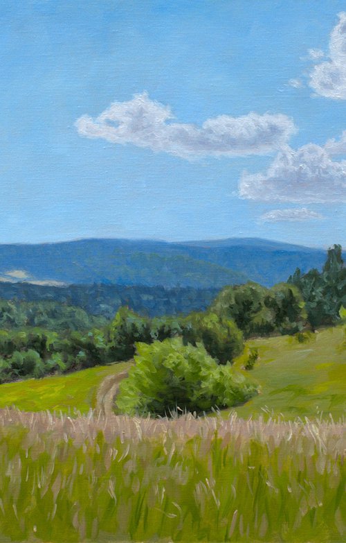 Meadow on the Mountain by Dejan Trajkovic