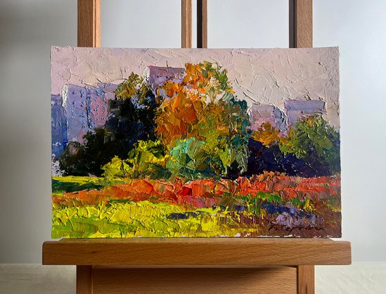 Autumn Meadows Outside the City