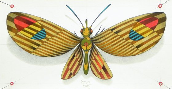 combat moth
