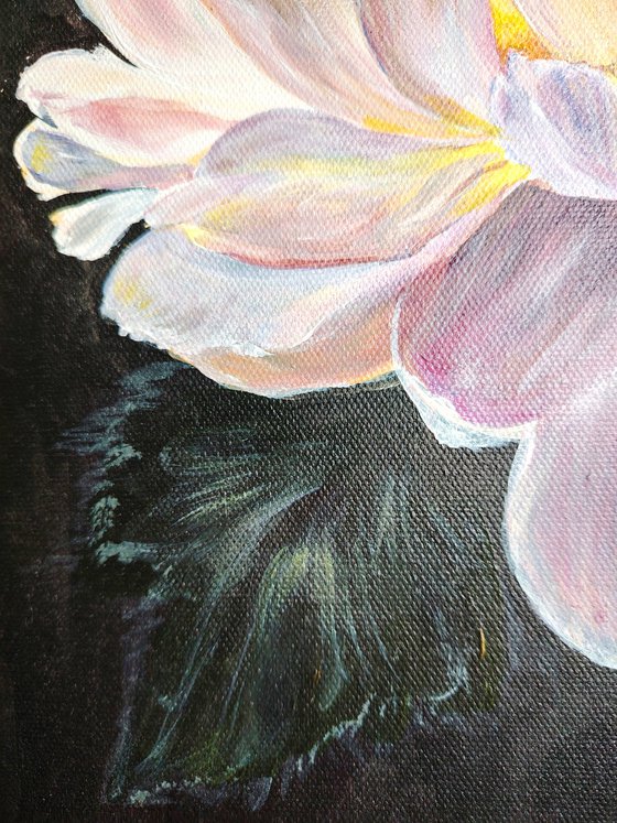 Whisper of Luminescent Peony.