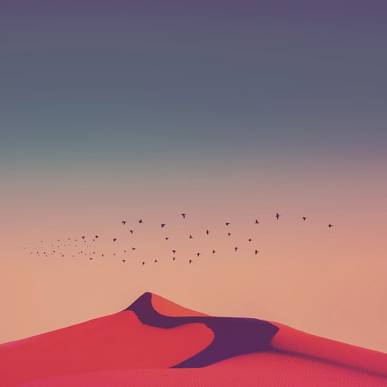 Desert FLight