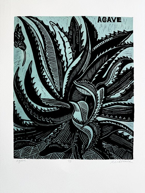 Agave