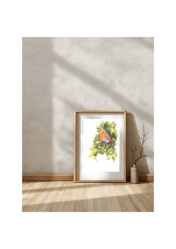 Robin Redbreast in Springtime