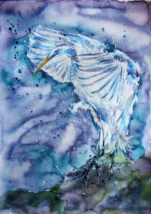 Heron by Anna Sidi-Yacoub