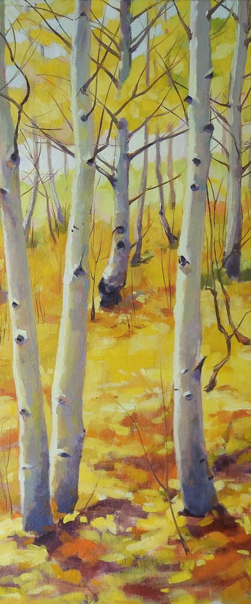 Autumn birches by Irina Ushakova