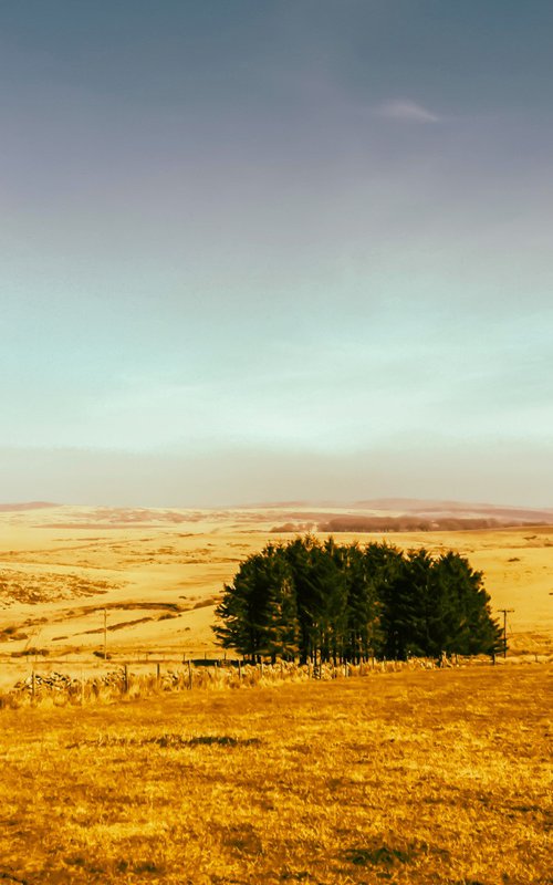 Dartmoor 2018, 02 - A4 by Kerry Gerdes