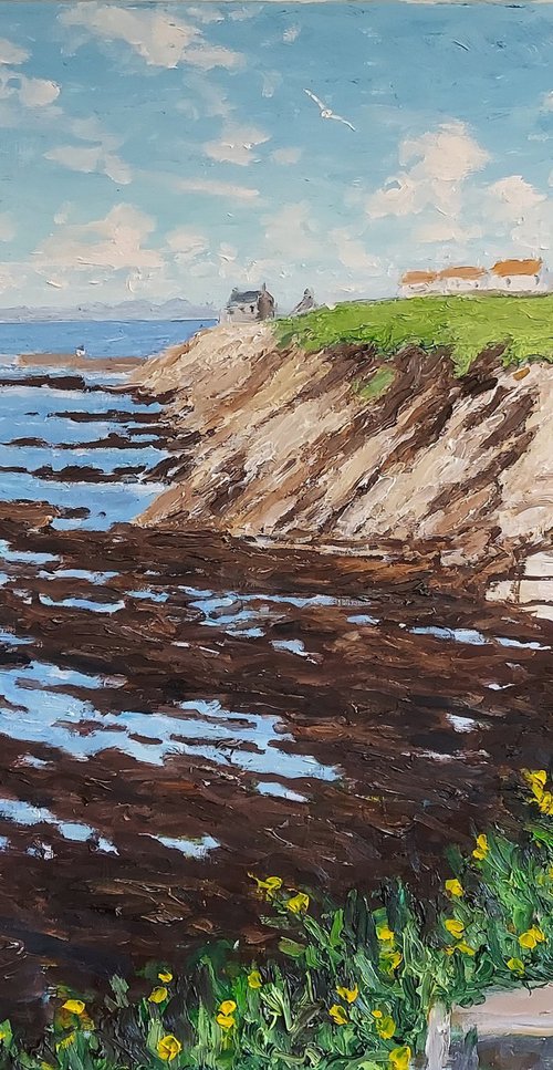 pittenweem cliffs by Colin Ross Jack