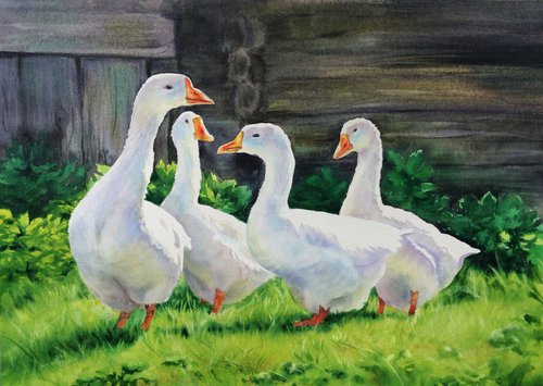 White Geese watercolor by Olga Beliaeva Watercolour