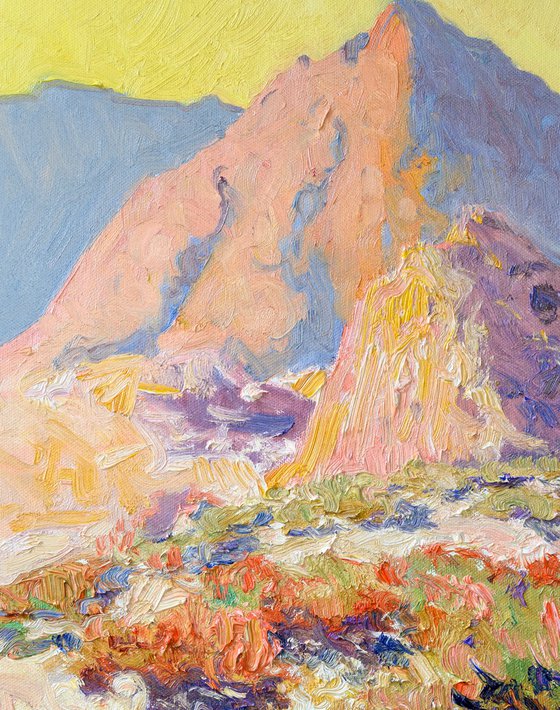 Morning Light. Desert