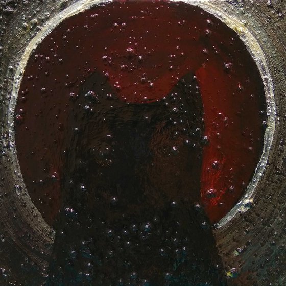"Cat looking to eternity"