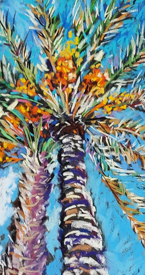 Palm trees in a sunny day by Silvia Flores Vitiello