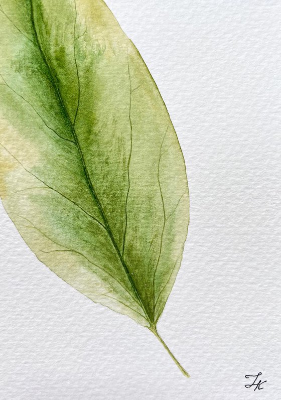 Autumn leaf Sketch #4