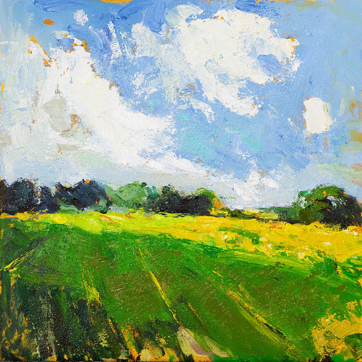 Impressionistic Landscape Oil Painting By Daria Zavadenko, 12 X 12, Golden Meadow, Original Artwork