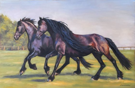 Evening Gallop