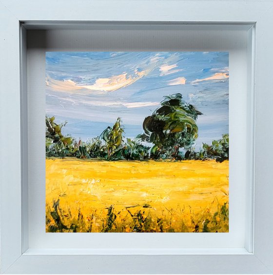 Golden fields of Summer
