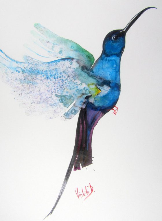 Hummingbird 12