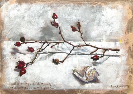 ‘Wild Rose hips with a shell’