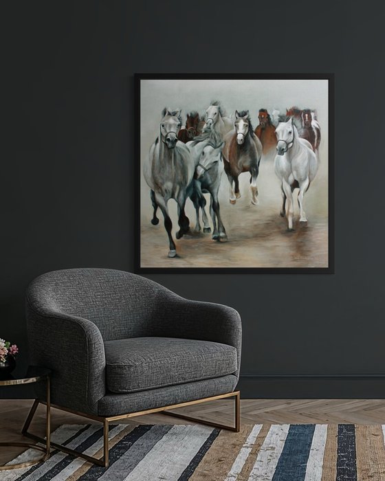 Arabian Horses