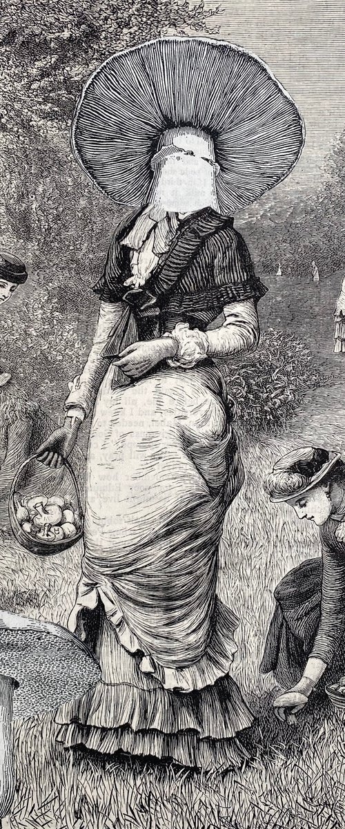 Friends picking mushrooms by Tudor Evans