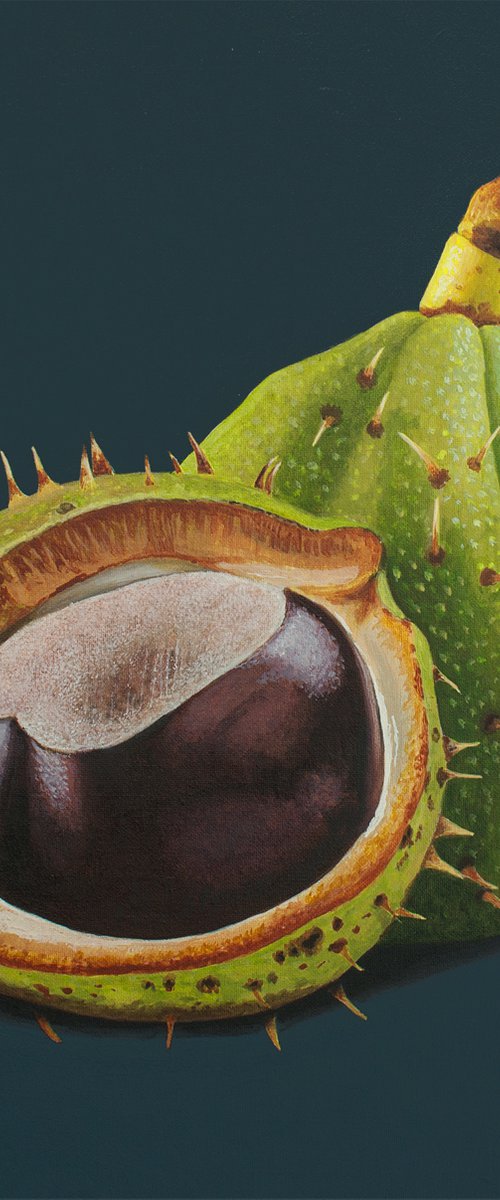Prickly Beauties by Dietrich Moravec