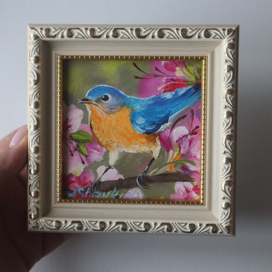 Floral Bluebird