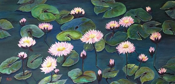 Pink Water Lilies on a Quite Lake