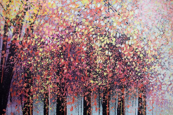 Light Through Spring Blossom