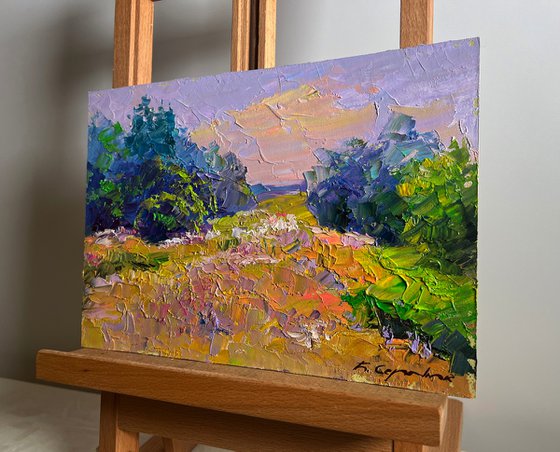 In a Summer Flower Meadow