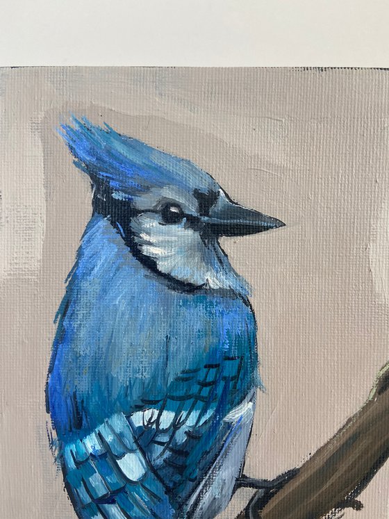 Bird painting Blue Jay 22x16cm (6x8inch) original oil art