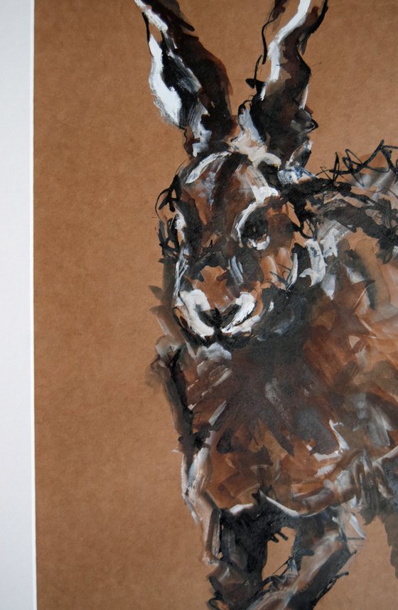 Hare Study