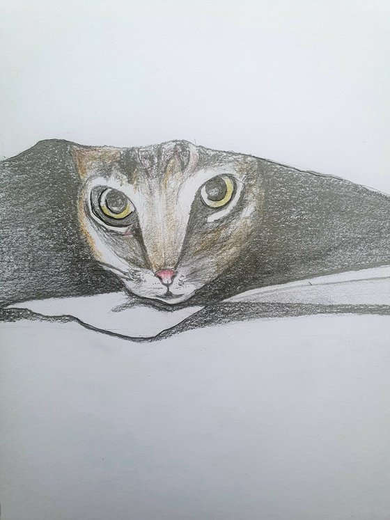 In the Darkness | Cat Drawing with Pencil and Charcoal A4 Size