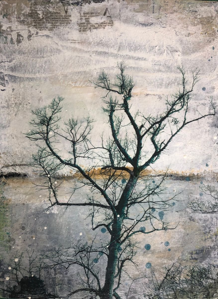 Natural Heritage by Lorraine Brown