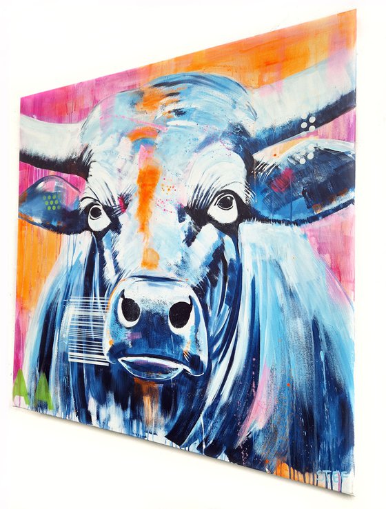 Bull #10