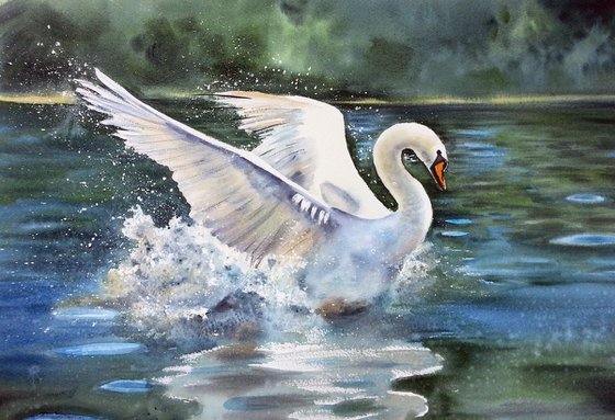 White Swan painting - Swan Lake - Swan watercolor