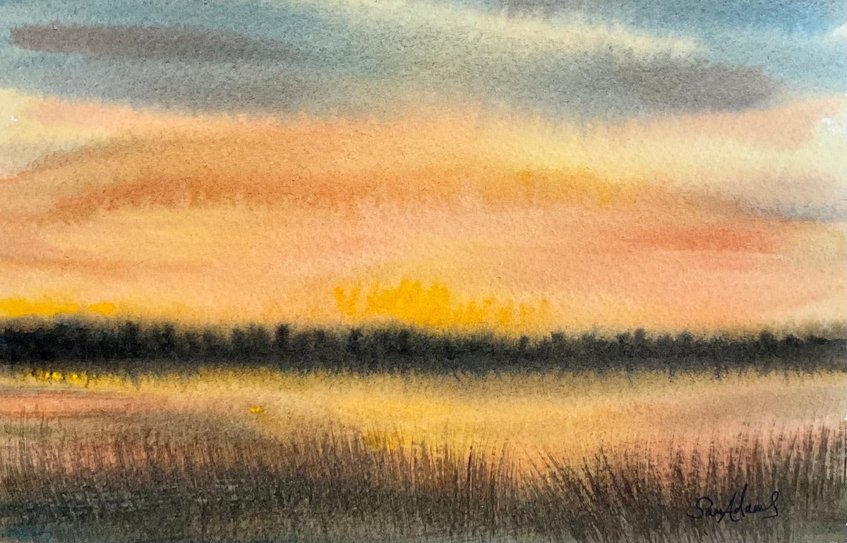 Margaret Marsh Sunset, North Dorset by Samantha Adams