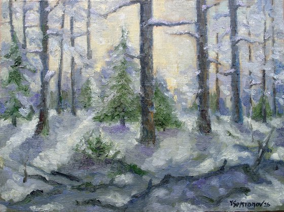 Landscape Winter Day