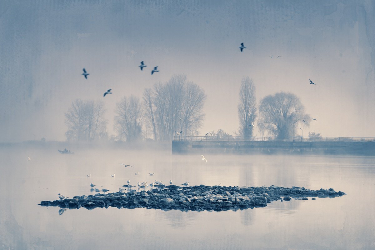 Impressionistic Landscape Photograph By Valerix, 24 X 16", Seagull Island., Original Artwork