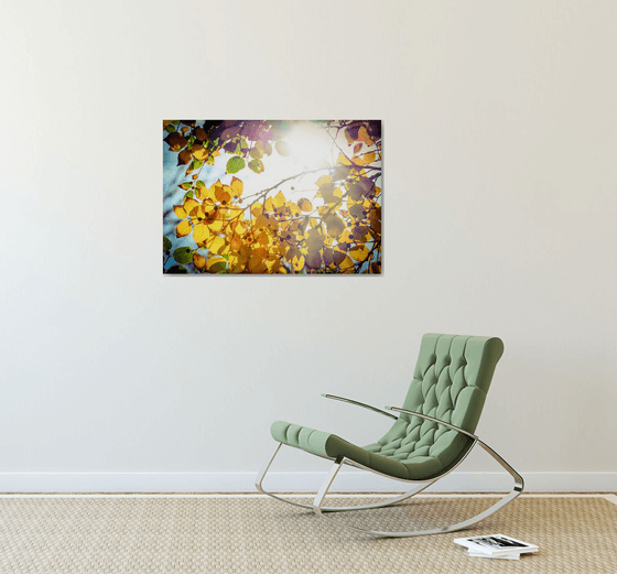 Winter is finally here | Limited Edition Fine Art Print 1 of 10 | 75 x 50 cm