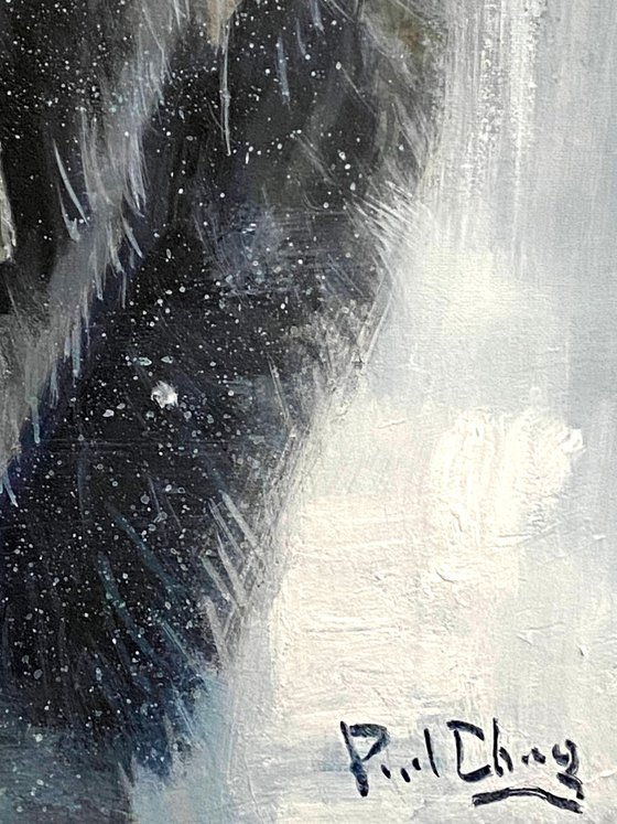 King of the Snow Plains