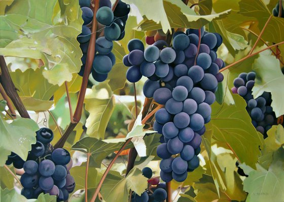 Grapes