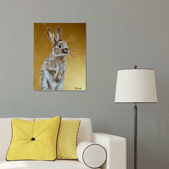 Honey bunny 5