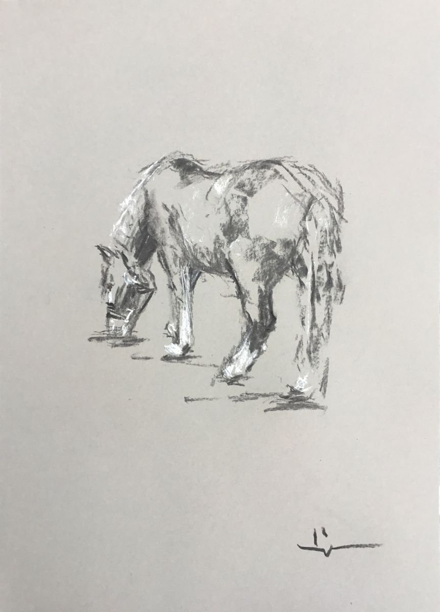 Expressive Animal Charcoal Drawing By Dominique Deve, 12 X 16, Horse Study 4, Original Artwork
