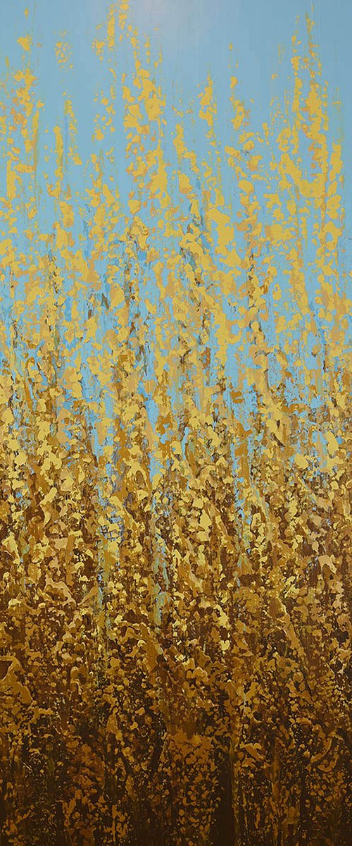 Glistening Field of Gold by Suzanne Vaughan