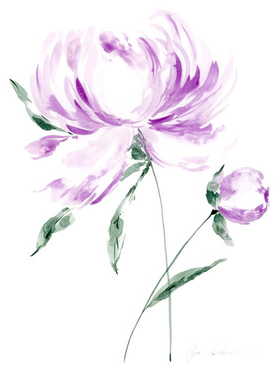 Purple Peony