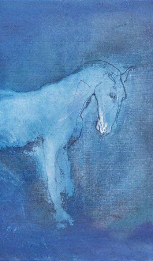 Horse Study 2 by Margit  Platny