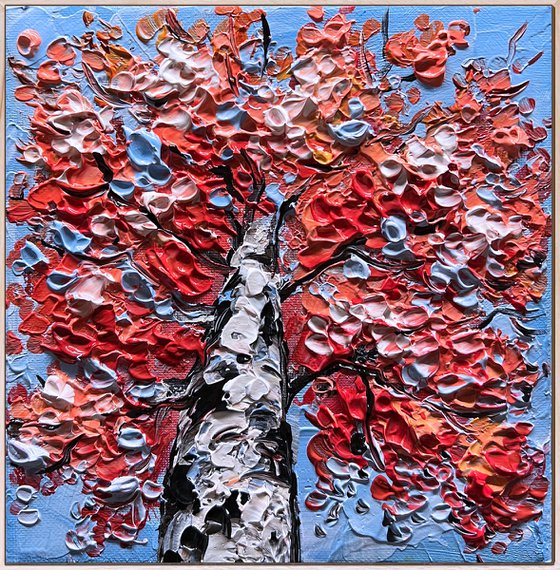 Birches Season Collection